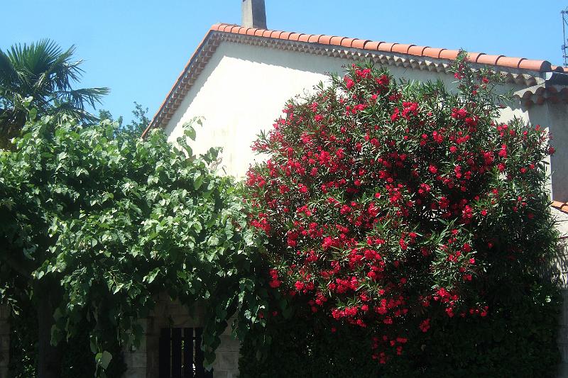 2011-05- (1659).JPG